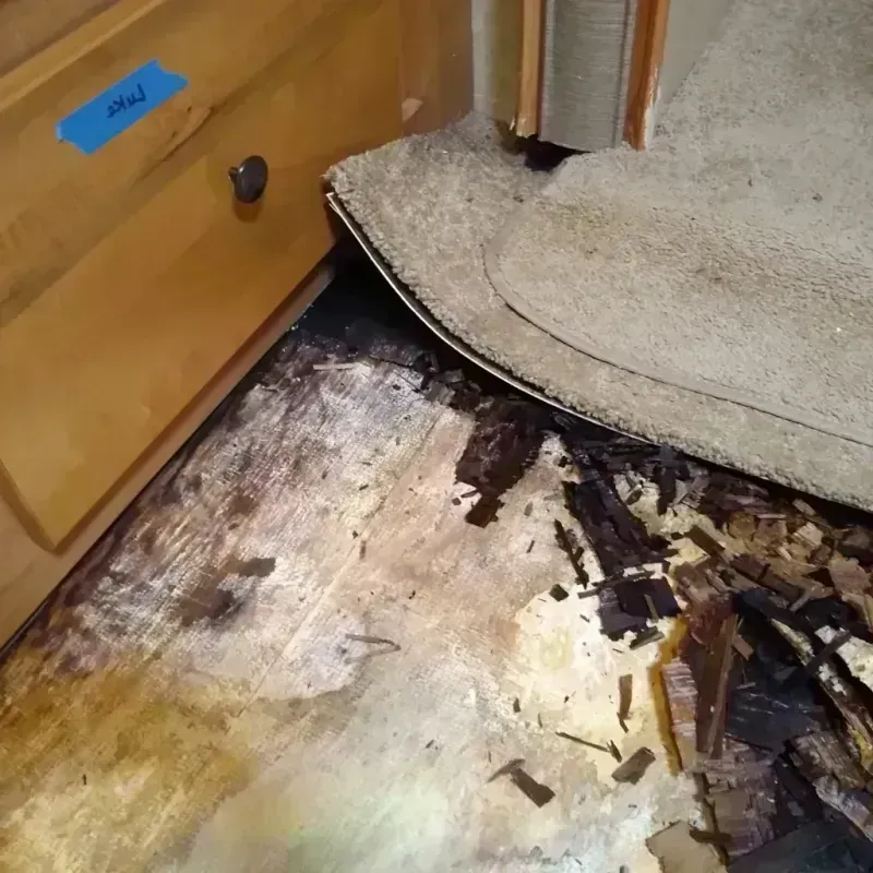 Best Wood Floor Water Damage Service in Fort Collins, CO